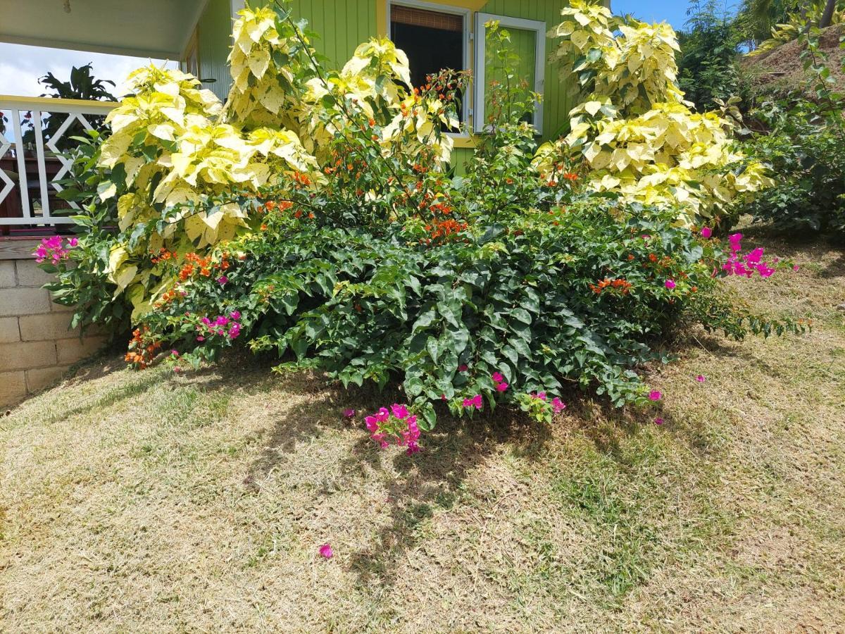 Diamond View Cottages Roseau Zewnętrze zdjęcie